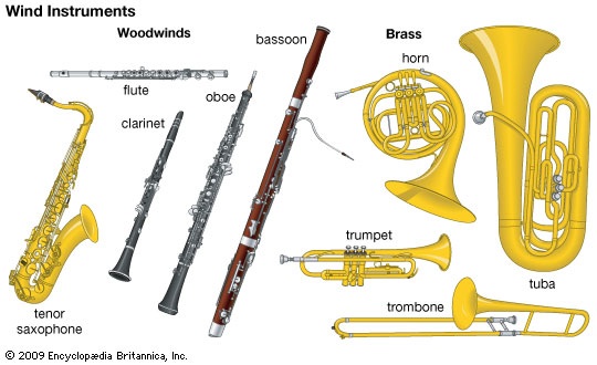 The Importance of Assembly